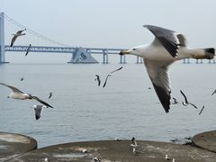 -星海广场