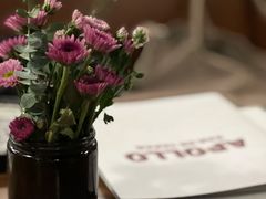 -Apollo·西班牙小酒馆(安福路店)