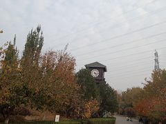 -永定河休闲森林公园