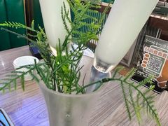 -探窝·竹笙椰子鸡(杨箕店)