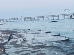 -星海广场