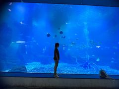 -福州罗源湾海洋世界旅游区