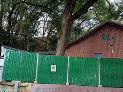 -马王堆汉墓遗址