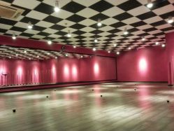 -STUDIO E POLE DANCE
