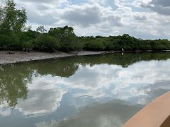 -东寨港红树林旅游区