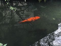 -成都杜甫草堂博物馆