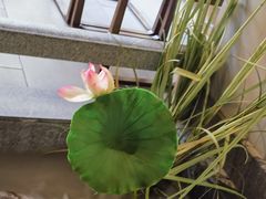 -新渝城·始于2000年(淘金店)