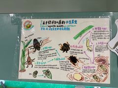 -上海大自然野生昆虫馆(东方明珠·爬宠昆虫探索中心)