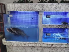 -香山湖渔家大院