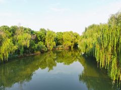 -同里国家湿地公园