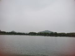 -鲁镇