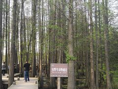 -东湖落雁景区