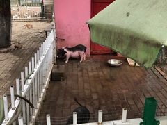 -荆州中山公园动物园