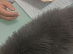 -宠福鑫康馨动物医院·骨科·眼科