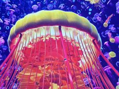 -海合安青岛极地海洋公园