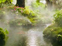 -Chom Cafe and Restaurant