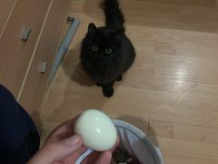 -宠颐生中康贝怡动物医院