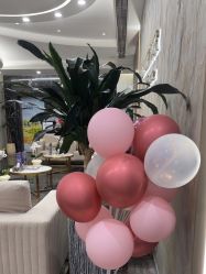 -上海首尔丽格医疗美容医院