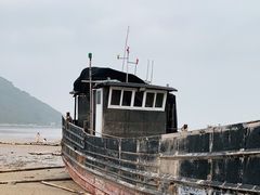 -北岐滩涂