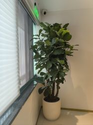 -WENDY·温迪皮肤管理