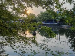 -嘉定紫藤园