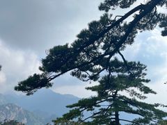 -黄山风景区
