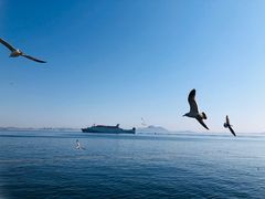 -大连海昌东方水城
