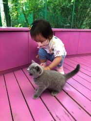 -萌宠亲子动物乐园(槐房万达店)