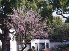 -杭州西湖柳莺里酒店·闻莺厅