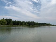 -微山湖红荷湿地景区