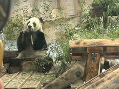 -无锡动物园·太湖欢乐园