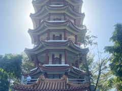 -深圳仙湖植物园