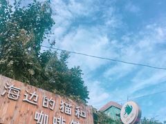 -海边的猫和咖啡馆