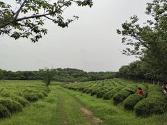 -凤凰沟景区