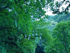 -少华山国家森林公园