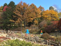 -神户市立六甲山牧场