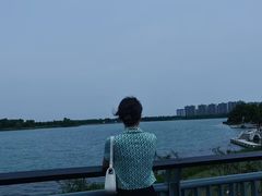 -桐乡凤凰湖