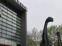 -河南自然博物馆