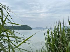 -东钱湖旅游度假区