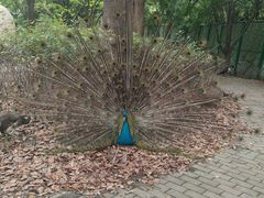 -常州淹城野生动物世界