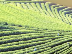 -湘邻呷铺·田园家宴(汉基广场店)