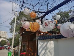 -张鸟园农家乐(张鸟园店)