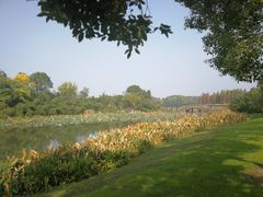 -艾溪湖湿地公园