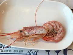 阿根廷红虾-淄博蓝海国际大饭店·蓝钻国际美食自助百汇(柳泉路店)