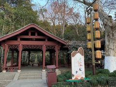 -杭州黄龙洞