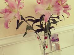 -谦和素食自助餐(云峰花园店)