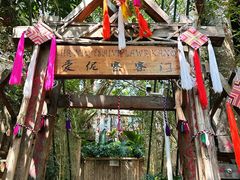 -西双版纳原始森林公园