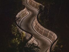 -福道