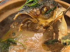 -九道菜有鸡鱼头(石鼓路店)