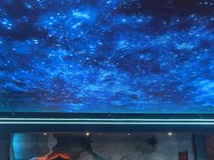 -屋有岛沉浸游戏旗舰店(中山公园店)